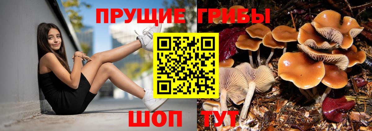 Галлюциногенные грибы MAGIC MUSHROOMS  Псилоцибиновые грибы Psilocybine cubensis  Вход с VPN  Новокубанск 
